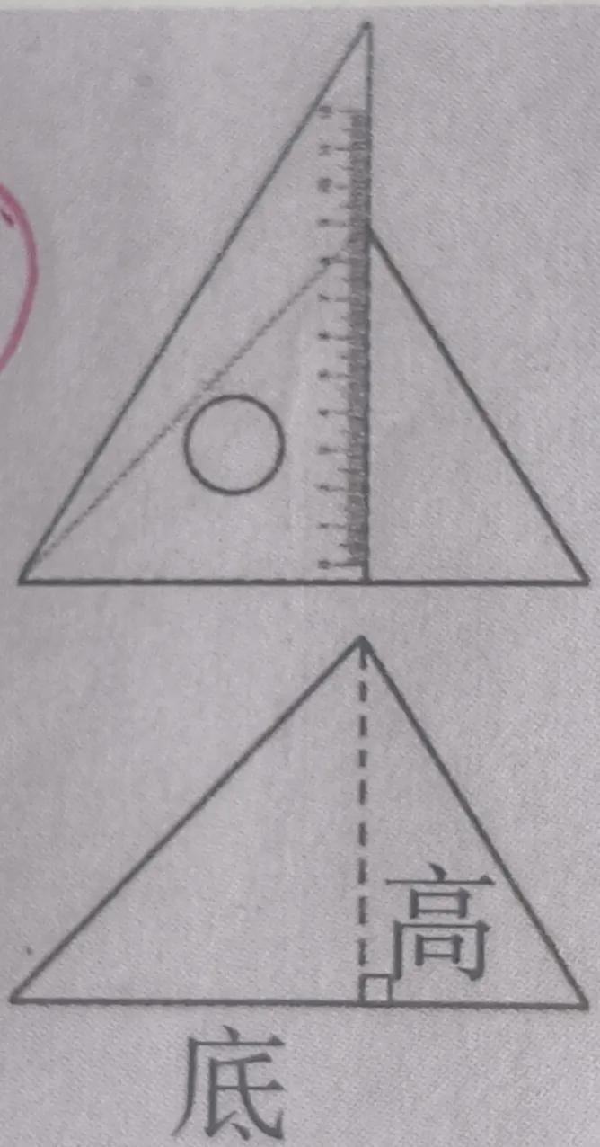 三角形的概念是什么（四年级数学下册认识三角形知识点总结）